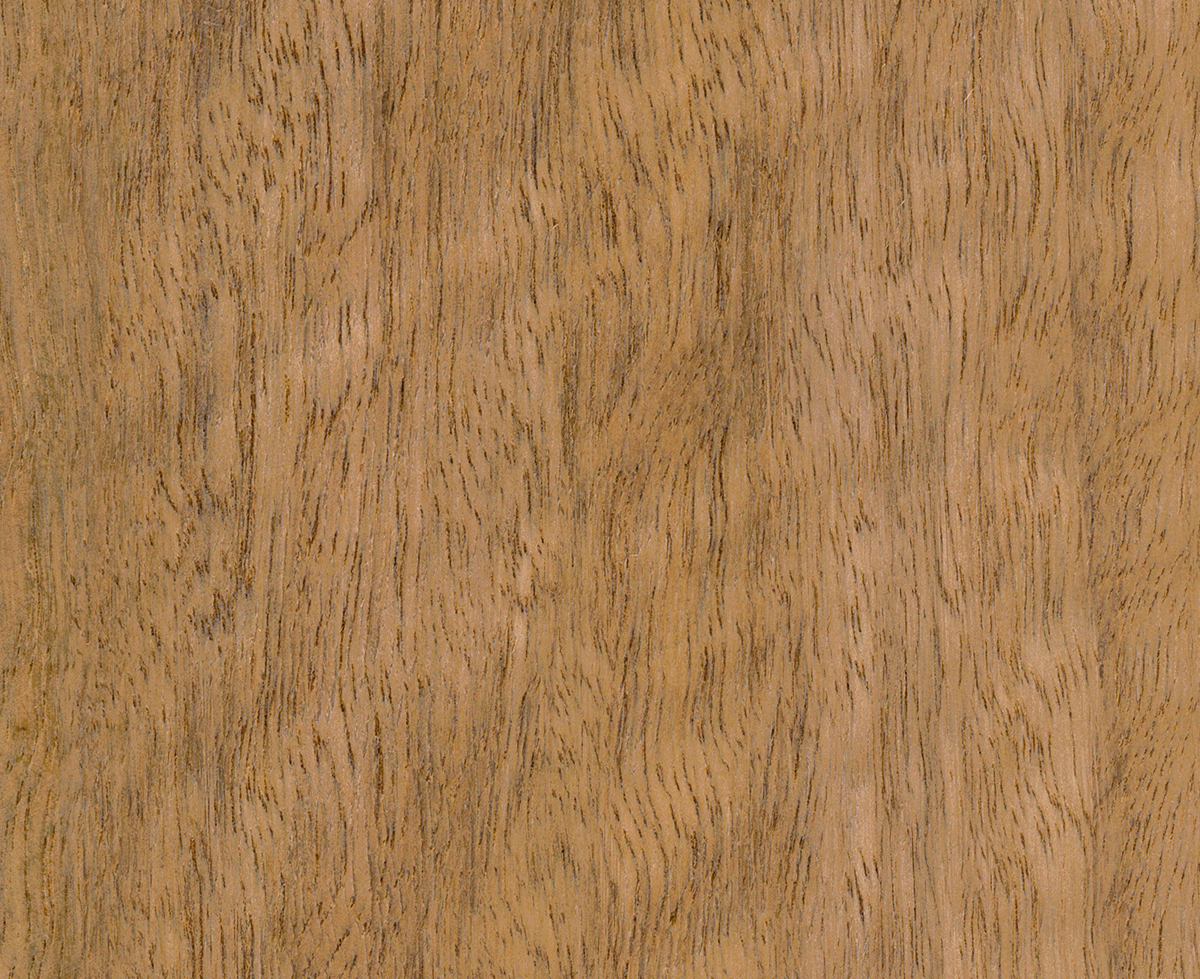 Spotted Gum Truescale