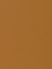 Burnt-Ochre.jpg