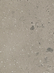 Tumbled Terrazzo.jpg