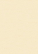 Bronx Beige