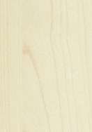Nordic Birch