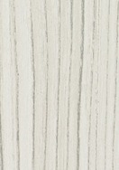 Snow Elm