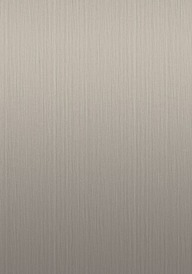 Brushed Stainless Steel