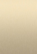 Brushed Titanium