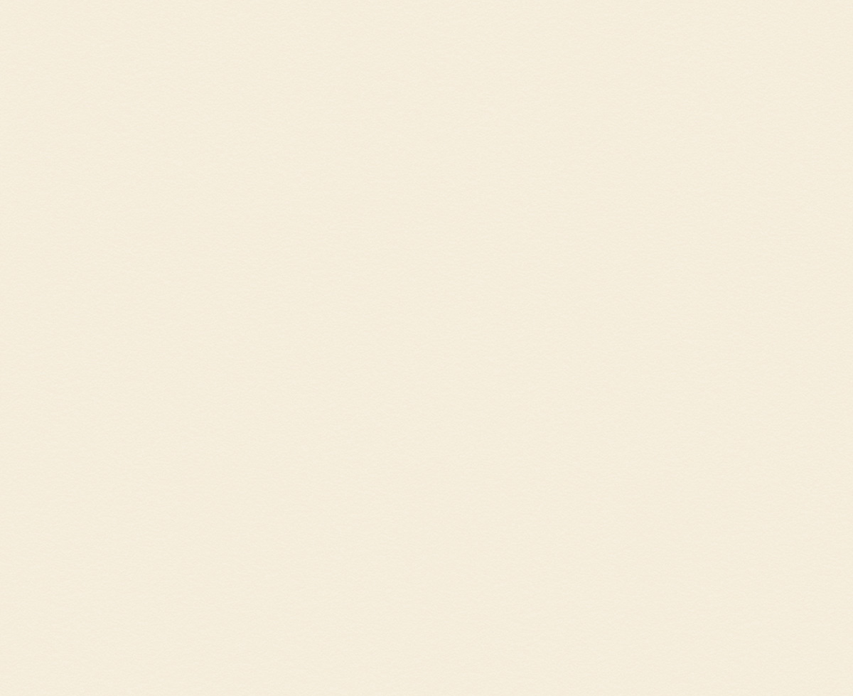 Moleskin